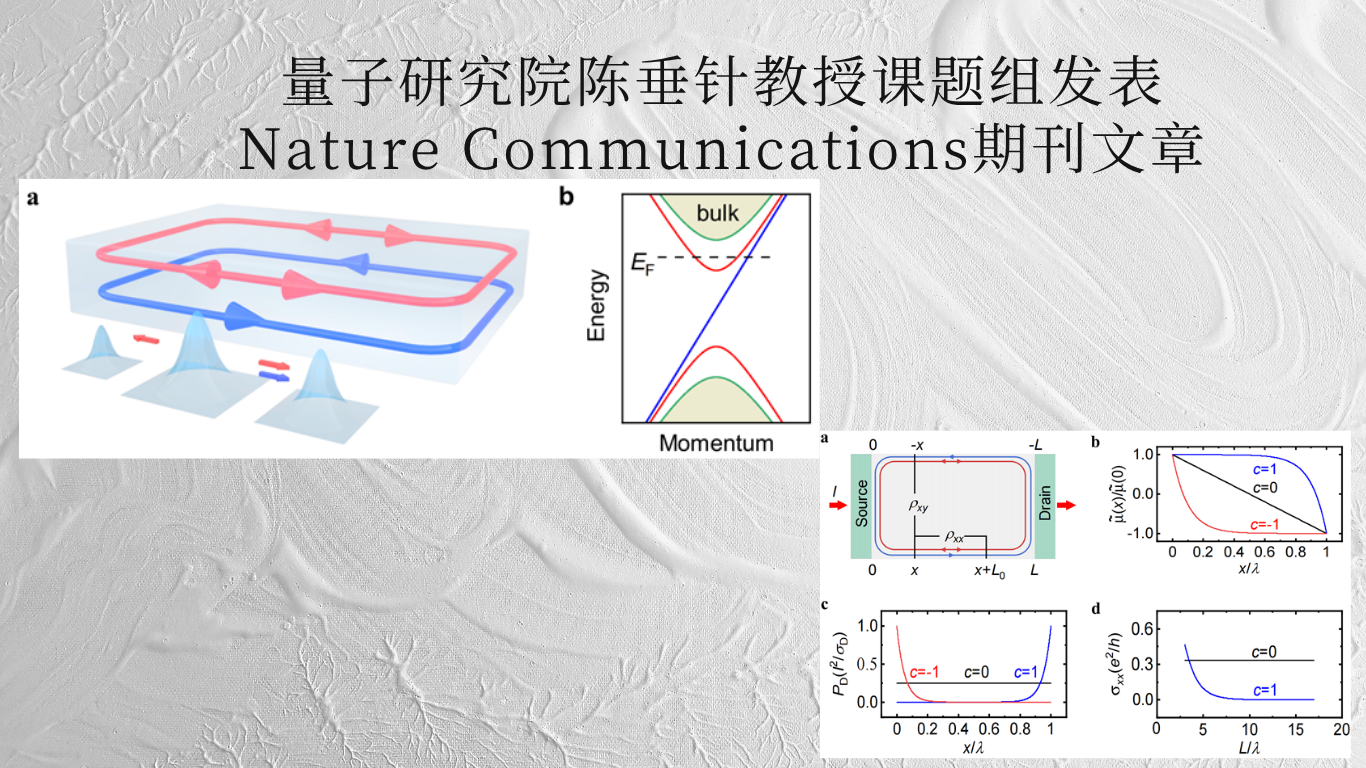 量子研究院陈垂针教授课题组发表Nature Communications期刊文章